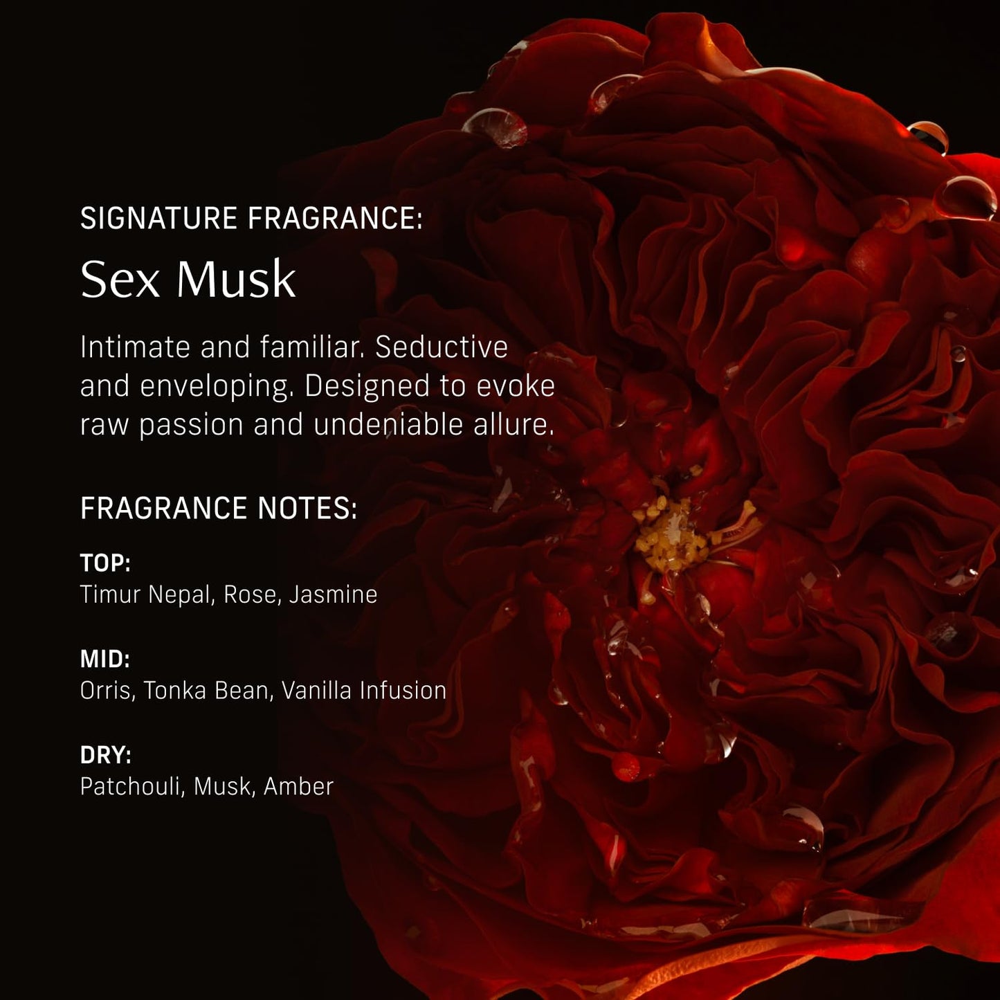 Perfume Oil Roll-On. Travel-Friendly Sex Musk Fragrance with Rose, Tonka Bean, and Musk Notes. Long-Lasting Essential Oil Parfum for Women and Men. 0.5 Fl Oz Scented Rollerball Bottle