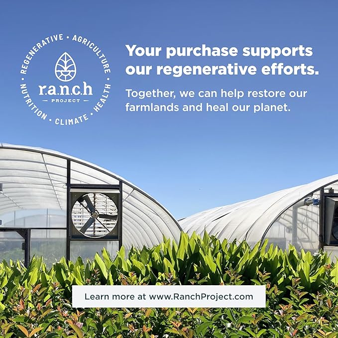 Probiotics for Immune Support by Ancient Nutrition, SBO Once Daily Probiotics with Vitamin C and Vitamin D, 30Ct for Healthy Digestion and Immune System Function Support, 25 Billion CFUs*