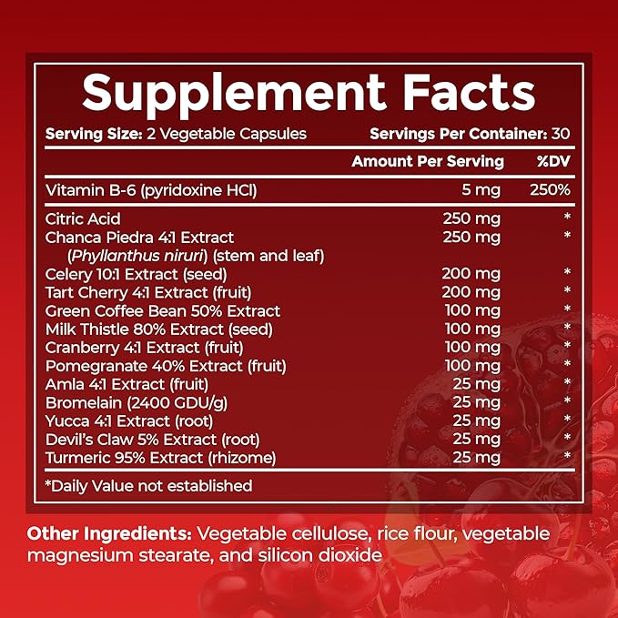 #1 URIC GO Uric Acid Cleanse Support Supplement for G.O.U.T - Natural Kidney Cleanse Detox Formula Chanca Piedra, Celery Seed, Tart Cherry, Cranberry, Pomegranate, Turmeric, Vegan Non-GMO 60 Capsules