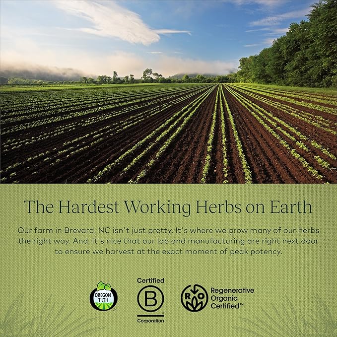 Gaia Herbs Prostate Health - Supports Prostate Health and Function for Men - with Saw Palmetto, Green Tea, Nettle Root, and White Sage - 60 Vegan Liquid Phyto-Capsules (20-Day Supply)