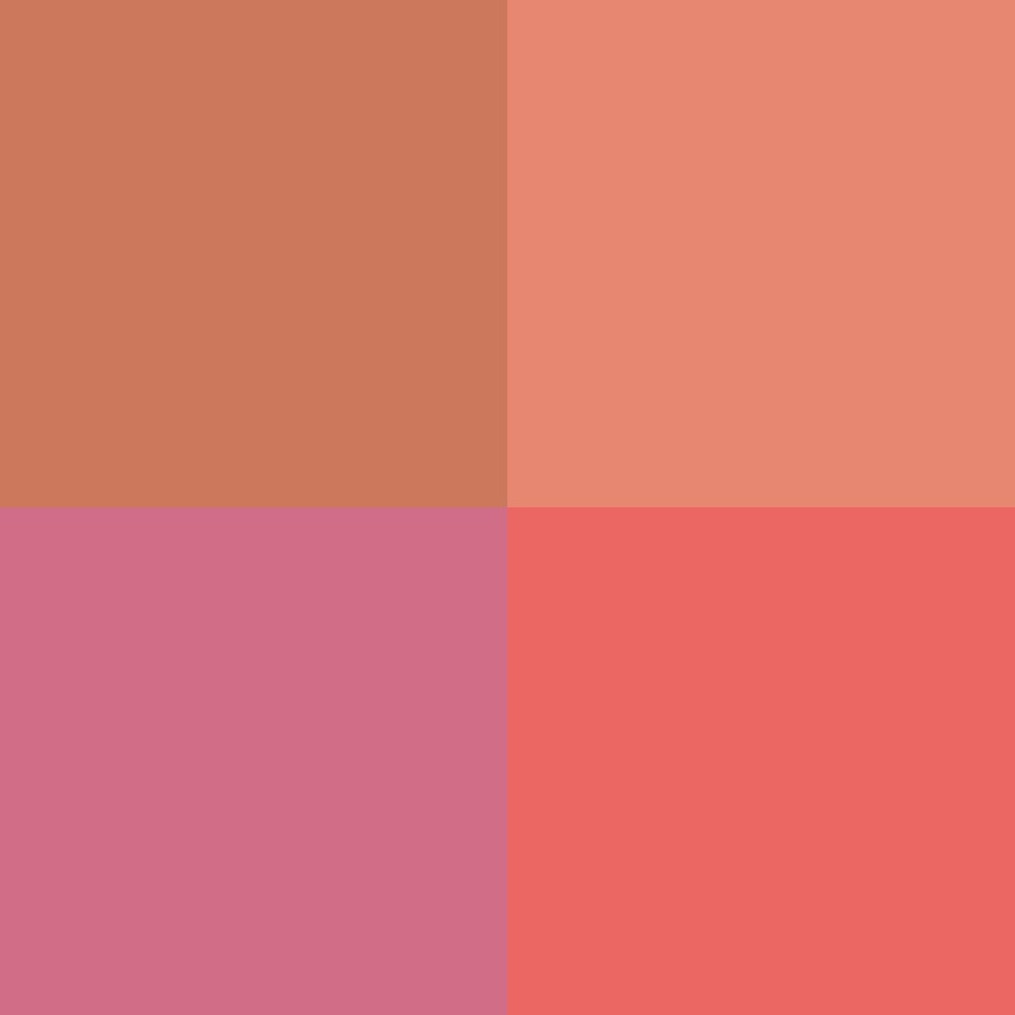 FITGLOW Beauty – Ceramide Cream Lip + Cheek Palette | Vegan, Woman-Owned Clean Beauty (Freshly Picked)