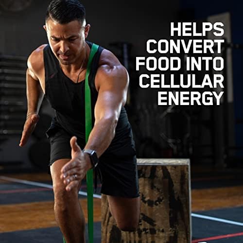 Optimum Nutrition Muscle Recovery and Endurance Supplement for Men and Women, Zinc and Magnesium Supplement, 90 Count