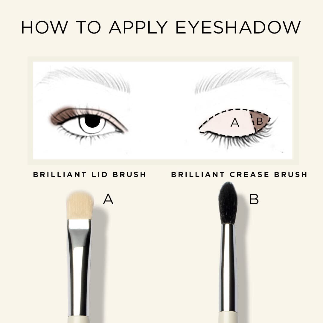 HALEYS Crease Eyeshadow Brush, Medium Fluffy Tapered Brush, Soft, Easy Blending Makeup Tool, Seamless, Multi-tasking Makeup Brush for Cream and Powder, High-end Synthetic Bristles, Vegan + CF