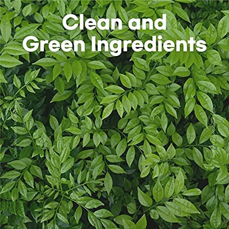 skybottle Hand Cream, Nourishes Very Dry Hands, Korean Hand Lotion, Hand Care for Women & Men, Perfumed with Bergamot, White Rose Scent with Shea Butter, 1.7 Fl. Oz