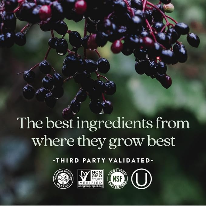 New Chapter Women's Multivitamin for Immune, Beauty + Energy Support with 20+ Nutrients -- Every Woman's One Daily, Gentle on the Stomach, 72 Count