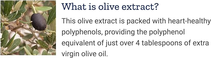 Life Extension Super Omega-3 360 Softgels (Pack of 2), Easy to Swallow, EPA/DHA Omega3 Fish Oil, Sesame Lignans & Olive Extract