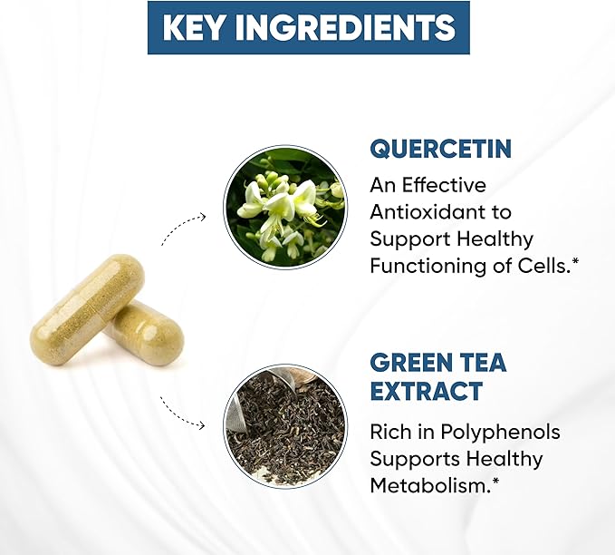 Sandhu's Zinc Supplement with Ionophores| Quercetin & Green Tea Extract for Superior Absorption and High Potency| 800mg Vegetarian Capsules 30 Days Supply| Immune Support for Men & Women| Made in USA