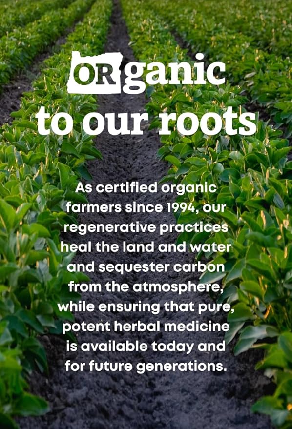 Oregon's Wild Harvest Organic Saw Palmetto Pygeum Herbal Supplement in Vegan Capsules