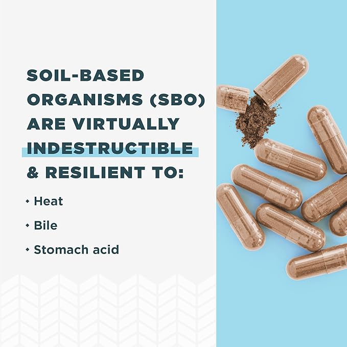 Probiotics for Women by Ancient Nutrition, SBO Probiotics Women's 60 Ct, Digestive and Immune Support, Bloating Relief for Women, Gluten Free, Superfoods Blend, 25 Billion CFUs*