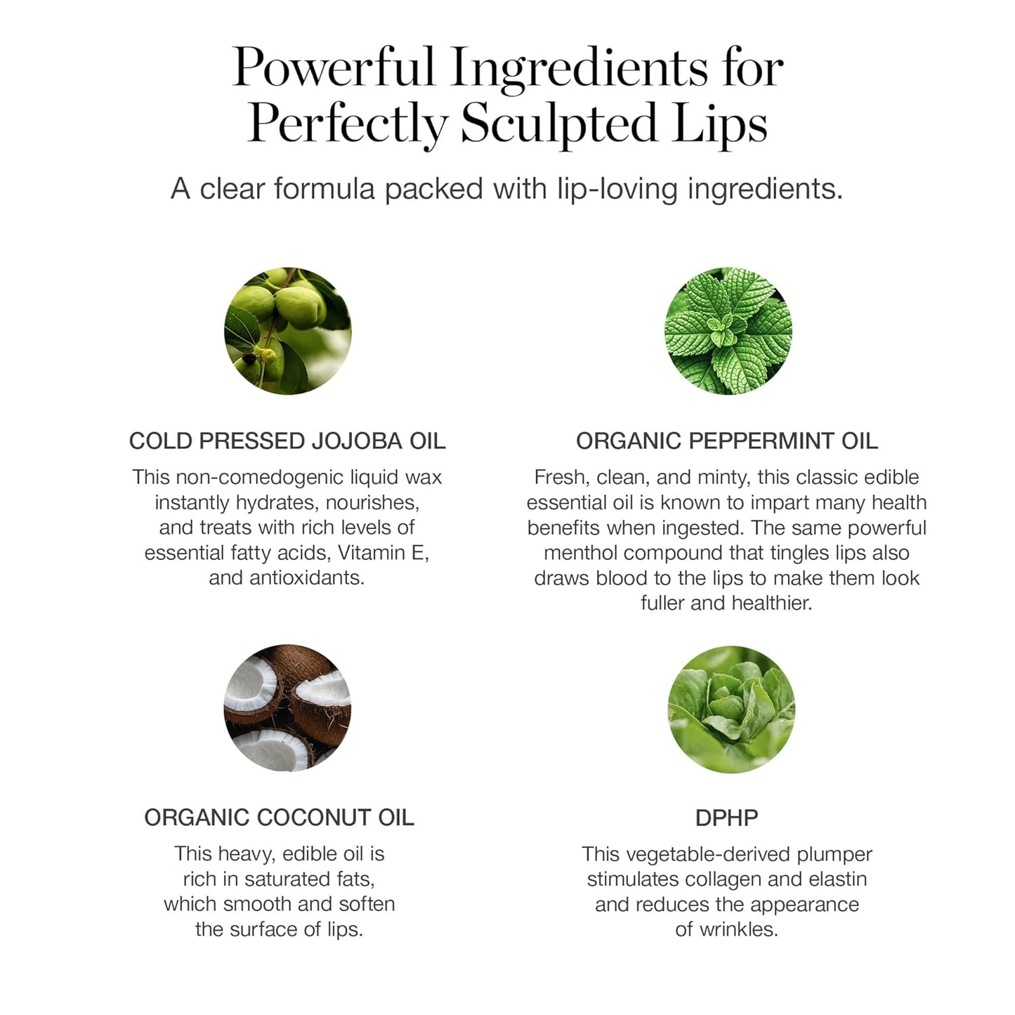 Ogee Sculpted Lip Oil - Lip Stain Made with 100% Organic Coconut Oil, Jojoba Oil, and Vitamin E - Best as Lip Balm or Overnight Lip Treatment - CLEAR