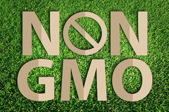 Best Earth Naturals Saw Palmetto 500 mg to Support Hair, Prostate, Urinary Tract 30 Count