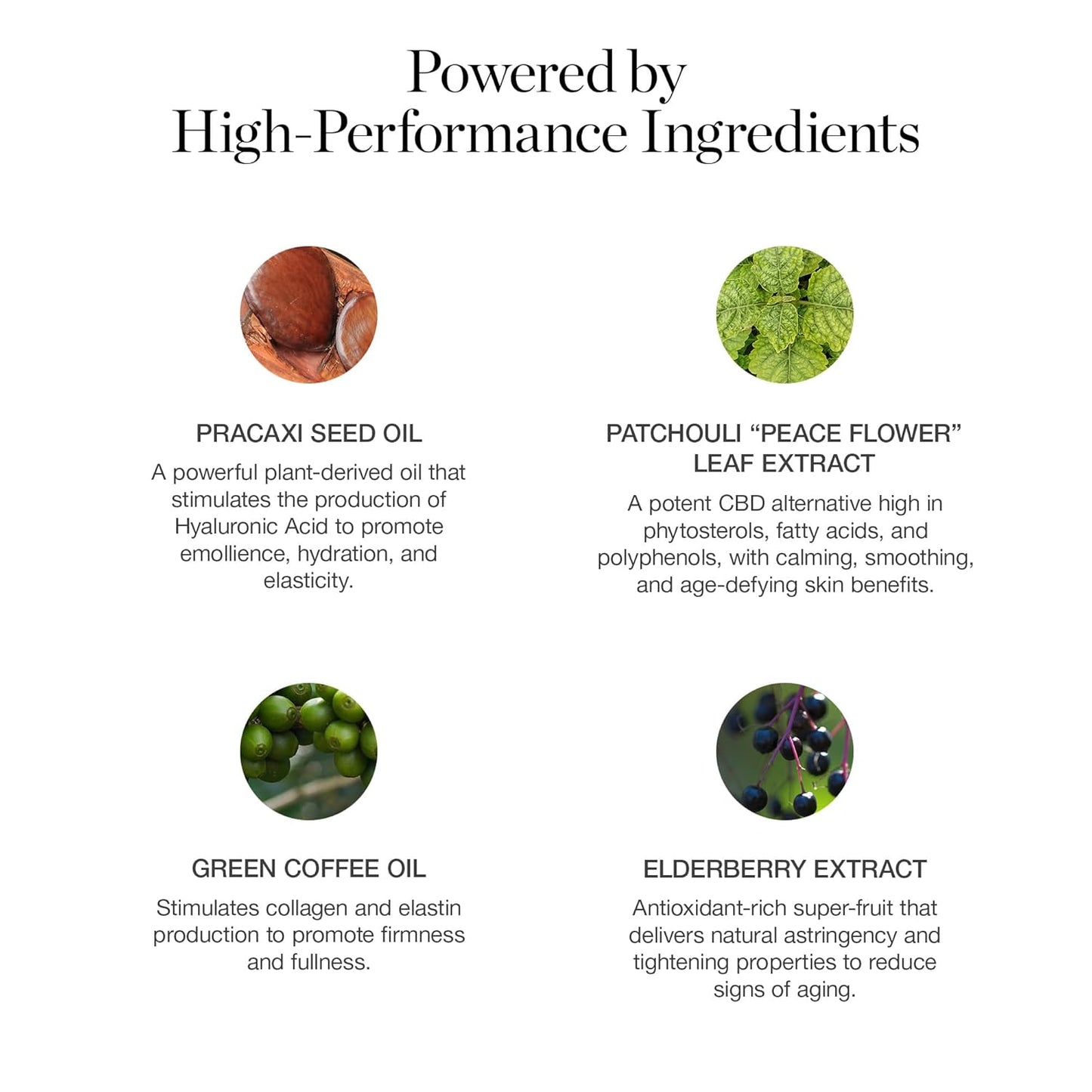 Ogee Sculpted Complexion Foundation Stick (Maple 9.0W - Medium Deep, Golden Bronze Undertones) Full Coverage Foundation Makeup - Instantly Balance & Even Complexion - 70% Organic Ingredients