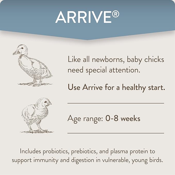 Arrive, Daily Probiotic & Prebiotic Poultry Supplement for Young Chickens 0-8 Weeks Old, 8 oz