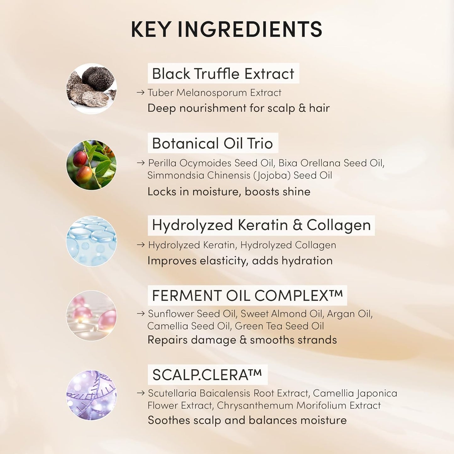 Instant Permanent Hair Color Dye Shampoo Ampoule - Paraben-Free, 5-Minute Easy and Fast Coloring, Keratin & Collagen, Made in Korea (Dark Brown)