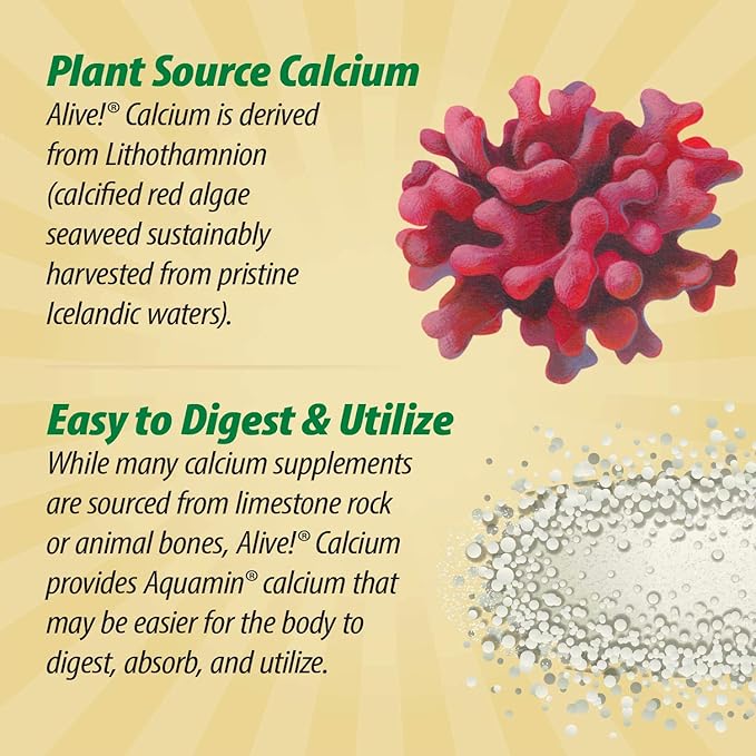 Nature's Way Alive! Calcium Max Absorption, Bone Support*, Plant Source Calcium, Vitamin D3 & K2, Magnesium, 60 Tablets (Packaging May Vary)