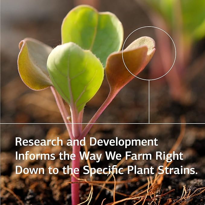 Standard Process Zinc Complex - Immune Support, Thyroid Support, Cognitive Health, and Blood Health Support with Iron, Zinc, and Copper - 90 Tablets