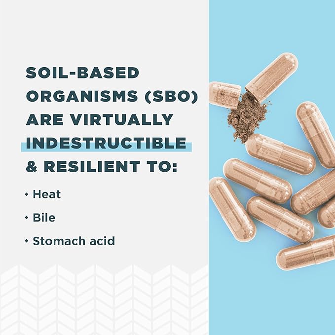 Probiotics for Mental Clarity by Ancient Nutrition, Once Daily Probiotics 30Ct, Helps Promote Mental Clarity and Concentration, Supports Healthy Energy and More Restful Sleep, 25 Billion CFUs*