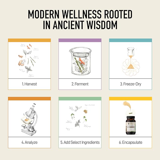 Gut Health Supplements - Your Flora Probiotic Terrain with Fermented Soybean, Aloe Vera, Prebiotics, Digestive Enzyme, Probiotic for Women & Men- Vegan, Non-GMO - Living Alchemy, 60 Pcs