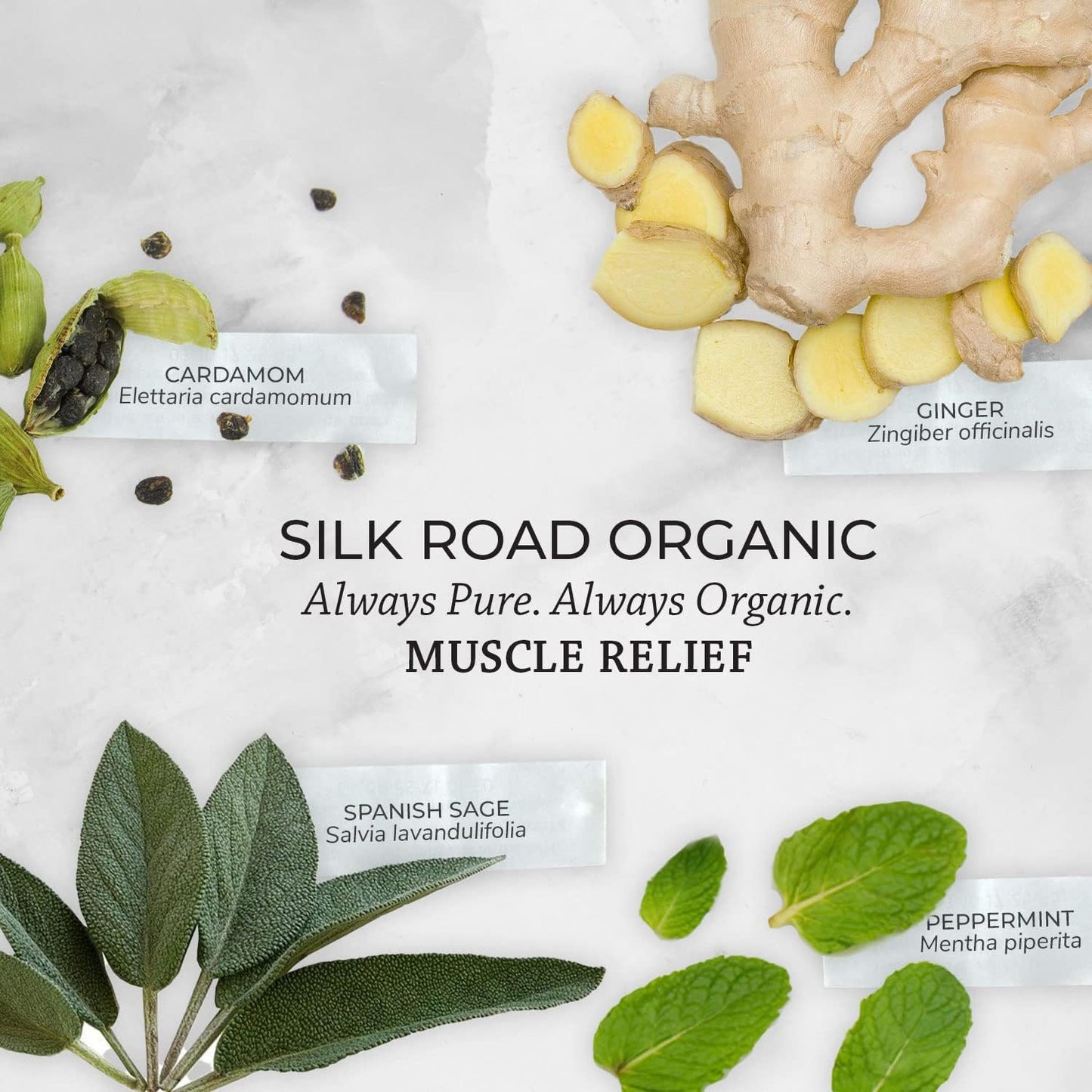 Silk Road Organic Muscle Relief Essential Oil Blend Roll On, 100% Pure USDA Certified Aromatherapy for Muscle Aches & Stiff Joints with Peppermint & Ginger - 10 ml Roller