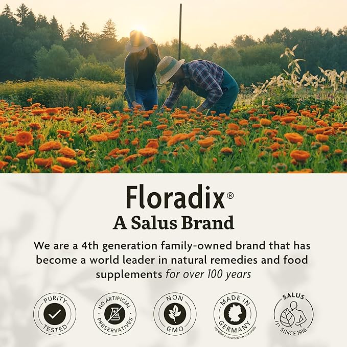 Floradix by Salus Iron & Herbs - Liquid Herbal Supplement for Energy Support - Iron Supplement with Vitamin C & B Complex Vitamins - Liquid Iron Supplement for Men & Women - 23 oz