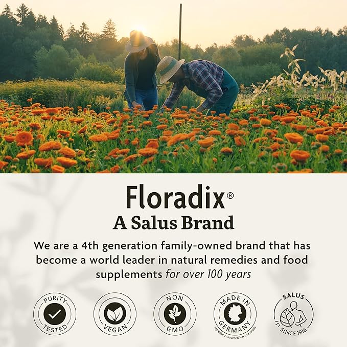 Floradix by Salus Iron Tablets - Energy Support Supplement for Men & Women - Natural Iron Supplement with B Vitamins & Vitamin C - Non-GMO, Vegetarian & Lactose-Free - 120 Tablets
