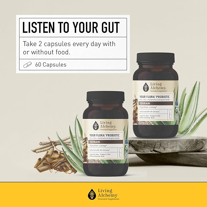 Gut Health Supplements - Your Flora Probiotic Terrain with Fermented Soybean, Aloe Vera, Prebiotics, Digestive Enzyme, Probiotic for Women & Men- Vegan, Non-GMO - Living Alchemy, 60 Pcs