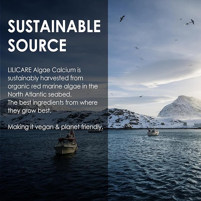 (2 Pack) Plant Based Calcium Supplement 600mg with Vitamin D3 K2, Zinc for Bone Strength, Sustainably Sourced Algae Calcium Magnesium 2:1 Ratio, Sugar Free Calcium Gummies 70+ Trace Minerals, Vegan