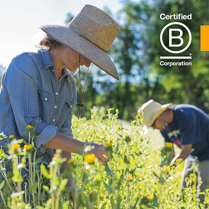 Herb Pharm Prostate Health Liquid Herbal Formula with Saw Palmetto Liquid Extract - 4 Ounce