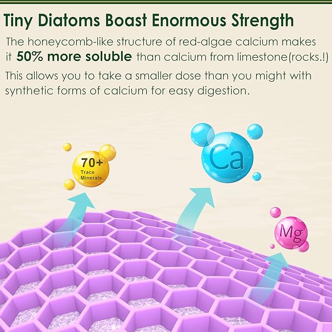 (2 Pack) Plant Based Calcium Supplement 600mg with Vitamin D3 K2, Zinc for Bone Strength, Sustainably Sourced Algae Calcium Magnesium 2:1 Ratio, Sugar Free Calcium Gummies 70+ Trace Minerals, Vegan