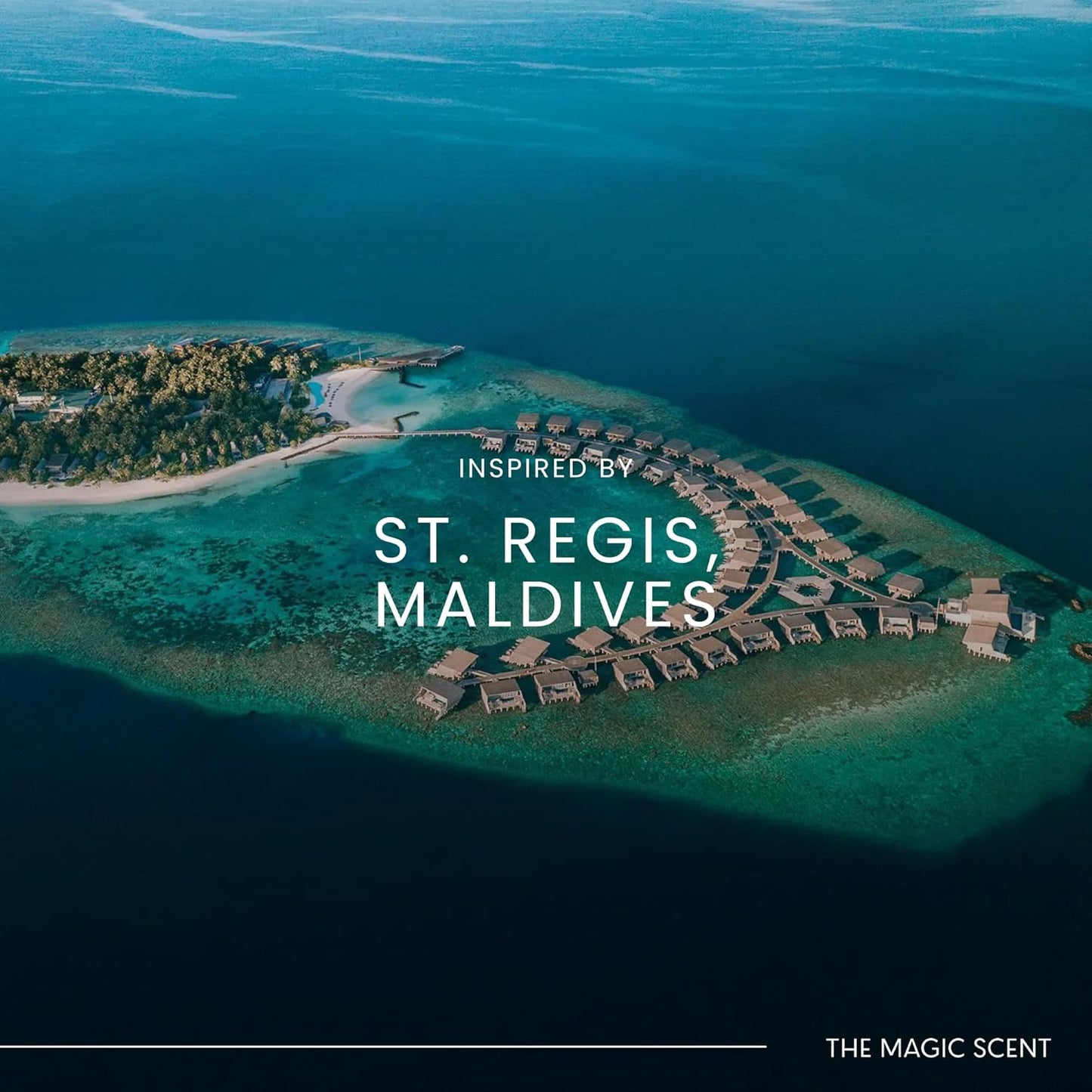 Mandarin Blossom Diffuser Oil - Hotel & Home Luxury Scents Inspired by St. Regis Hotel, Maldives - Diffuser Oil Scents for Home Designed for Use in All Diffusers - 16.9 fl oz, 500 mL