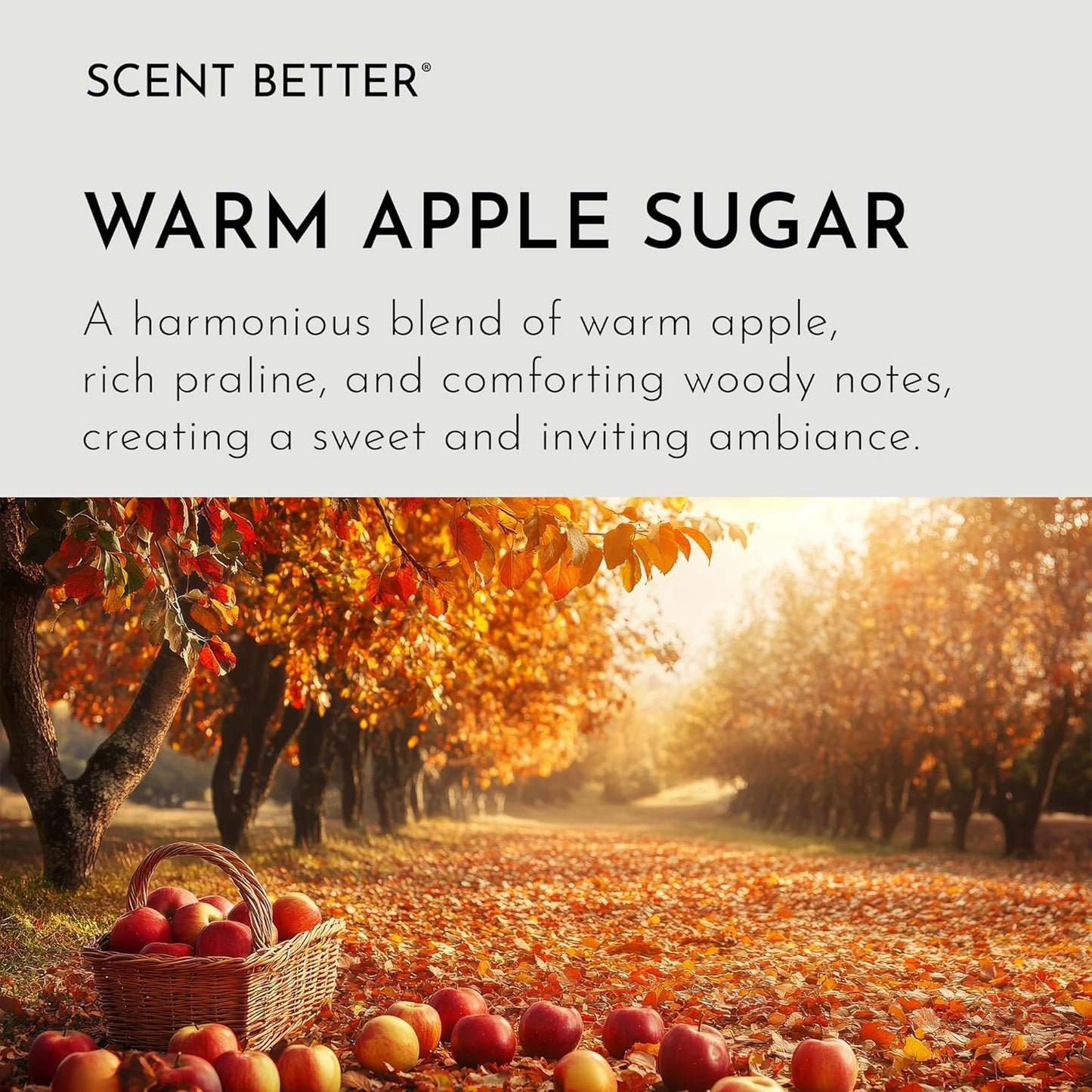 Scent Better Warm Apple Sugar Aroma Essential Oil Blend: an Aromatherapy Blend of Apple, Oakwood, and Praline for Ultrasonic Diffusers & Nebulizers (2 Fl Oz, 60 mL)