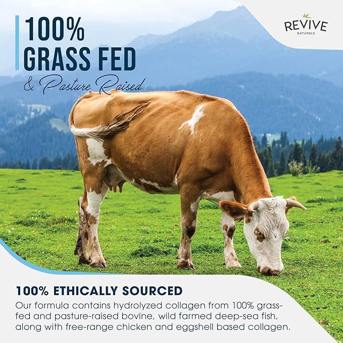Revive Naturals Multi Collagen Protein Capsules - Types I, II, III, V & X - Hydrolysed Grass Fed Bovine, Wild Caught Marine & Free-Range Chicken, Made with Hyaluronic Acid & Vitamin C, 120 Caps