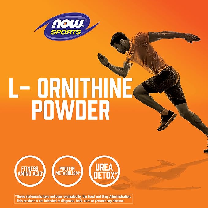 NOW Sports Nutrition, L- Ornithine Powder, Protein Metabolism* and Urea Detox*, Amino Acids, 8-Ounce (Pack of 2)