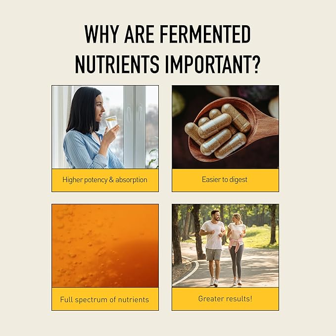 Gut Health Supplements - Your Flora Probiotic Terrain with Fermented Soybean, Aloe Vera, Prebiotics, Digestive Enzyme, Probiotic for Women & Men- Vegan, Non-GMO - Living Alchemy, 60 Pcs