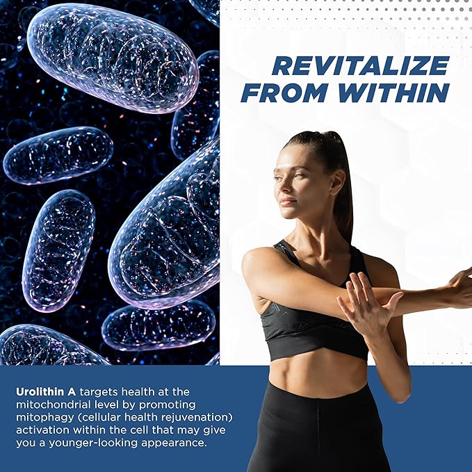 ProMito - Urolithin A Supplement - 500mg Pure Urolithin A Dietary Supplement for Men & Women - Good Alternative to NMN, NAD, CoQ10, Resveratrol & PQQ - Max Life Naturals, 28 Capsules