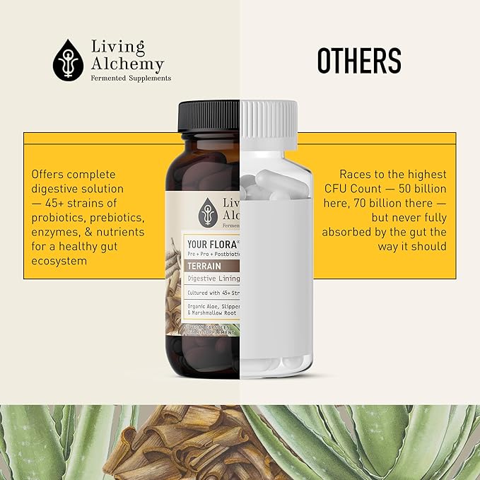 Gut Health Supplements - Your Flora Probiotic Terrain with Fermented Soybean, Aloe Vera, Prebiotics, Digestive Enzyme, Probiotic for Women & Men- Vegan, Non-GMO - Living Alchemy, 60 Pcs