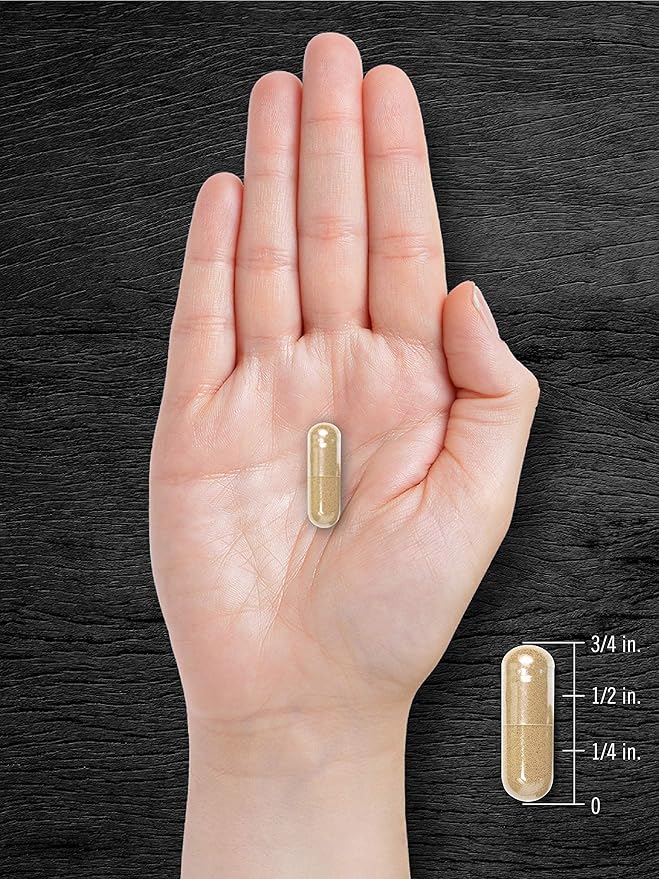 Carlyle Pygeum Supplement 1300mg | 240 Capsules | Non-GMO, Gluten Free | Africanum Bark Extract Supplement