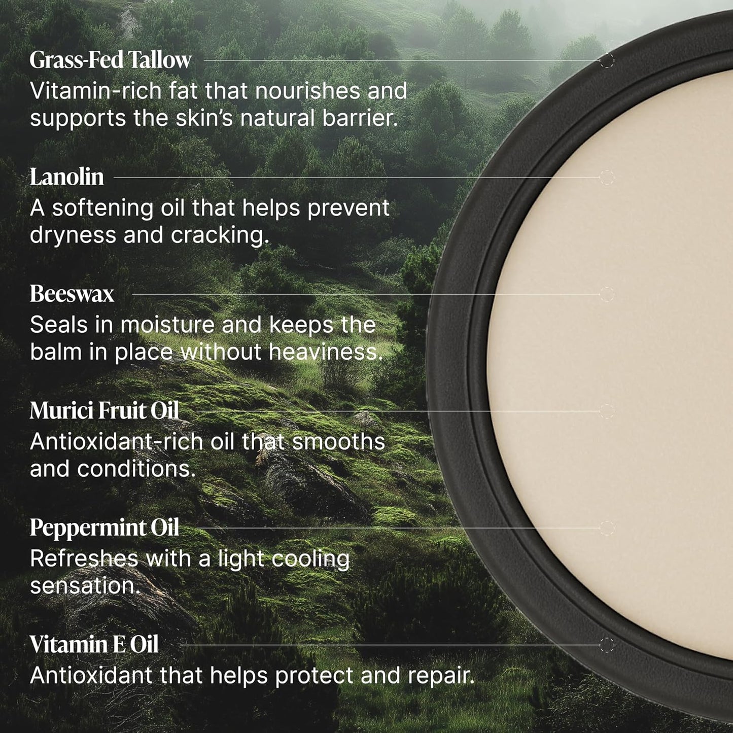 Peppermint Lip Balm, Natural & Clean Moisturizing Lip Balm with Vitamins A, D, E, and K, Nourishes and Smooths Texture, Moisturizer for Dry and Chapped Lips, Non-toxic, Made in USA